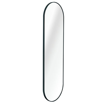 Silver 63 X 20IN Pill Shaped Full Lenghth Mirror Or Bathroom Mirror