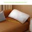 Ahrens-88655914-88655913