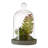 Sydnee 18cm Succulent in Cement Terrarium