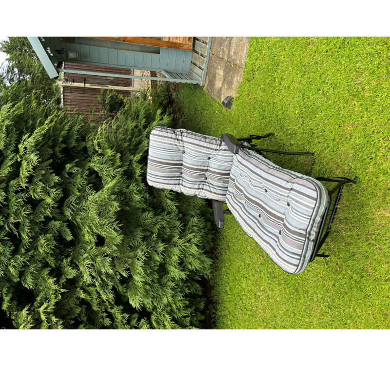 Celinez Steel Outdoor Lounge Chair, Grey , Black