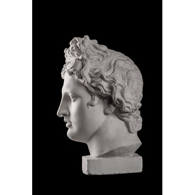 Apollo's Head by Kozlik_Mozlik - Wrapped Canvas Print