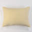 Hudson Sham-533124059-519331431