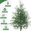 Olive artificielle en pot-1279566332-1279566333