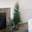 SEASONAL GREENERY TREE PINE BSKT 4FT
