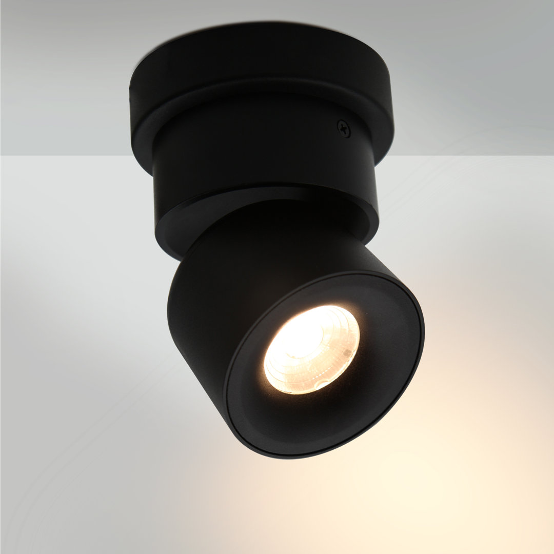 Dejahne 2-Pack Matte Black Rotatable LED Spotlights, 6W, 3000K Warm White, 120V AC with Dimming Function Ebern Designs