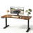 Wrought Studio Oneita 63" x 30" Dual Motor Electric Standing Desk with Ergonomic Curved Top, 4 Memory Presets & Integrated 20W USB-C Fast Charging - Professional Home Office Workstation (Walnut) Vintage Brown