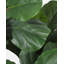 Plantes artificielles 4FT-6FT avec plus de feuilles pour le bureau personnel-1959597501