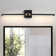 2-Light 24'' Dimmable LED Wall Mounted Picture Light