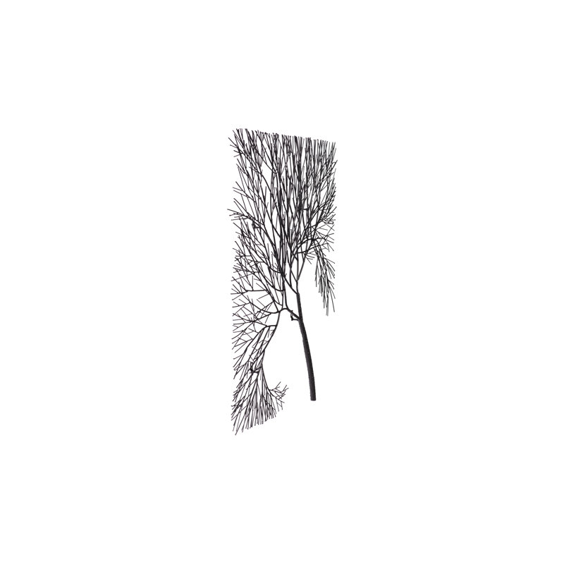 Wire Tree Wall Art, Rectangular, Metal, Black