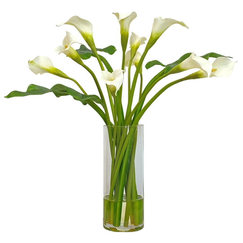 Calla Lily In A Cylinder