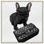 Classy Frenchie Noir - impression sur toile-33435853-33435850