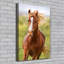 Horse In Gallop - Wrapped Canvas Print