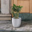 Pot à fleurs en béton Karola-1974299888-1974299900