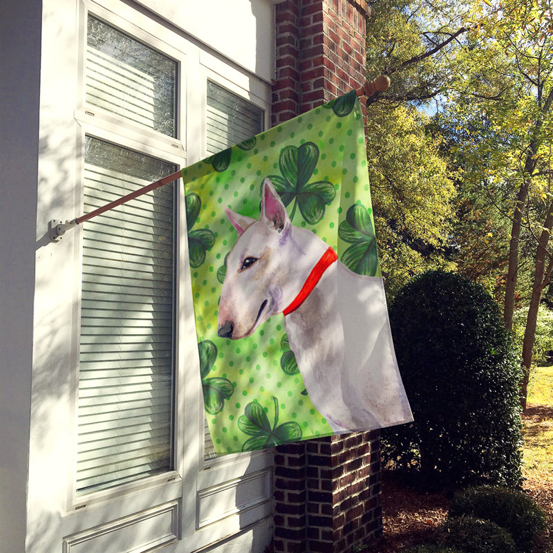 40 x 28 po en polyester à 2 côtés de la st patrick drapeau maison, Bull-terrier