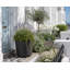 Robin Round Bucket Planter, Contemporary Concrete Effect, Round Indoor and Outdoor Plant Pot with Drainage Hole-1586262076-1586262051