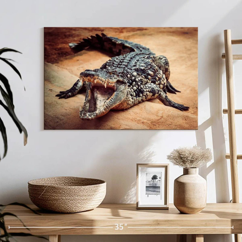 Brampt Crocodile, 16" H x 24" W
