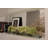 Hydrangea Arrangement in Planter-825524696-825524697