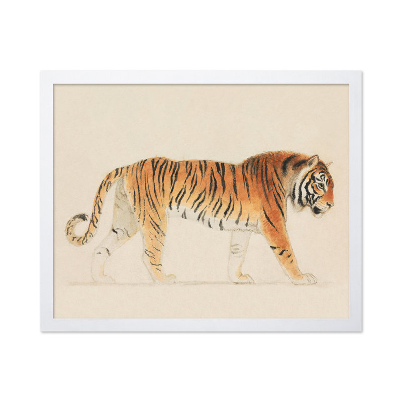 Thomas Stothard - Un tigre, Affiche, H 24 po x l 32 po, Encadrement blanc