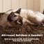 Multilevel Cat Tree Condo with Scratching Posts-176362122