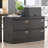2 Drawer Metal Lateral File Cabinet With Lock,Office Vertical Files Cabinet For Home Office/Legal/Letter/A4,Locking Metal File Cabinet,Assembly Required (Black,With 2 Drawer)-121351255