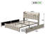 Bed-1585049906-1585049908