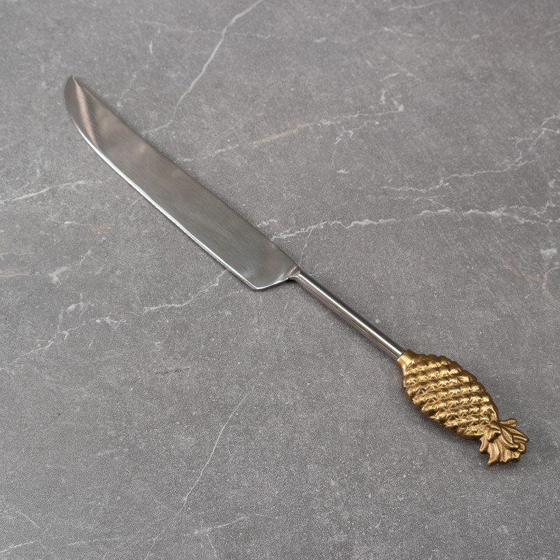 Aarlo Stainless Steel Cake Server