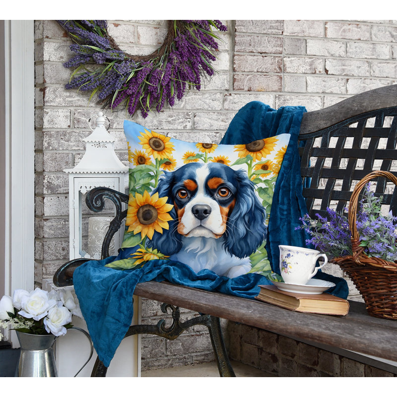 Other/No Pattern Indoor/Outdoor Throw Pillow, 18"H x 18"W