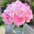 Rose sélectionné