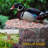 Stone Freestanding Decorative Bird Feeder