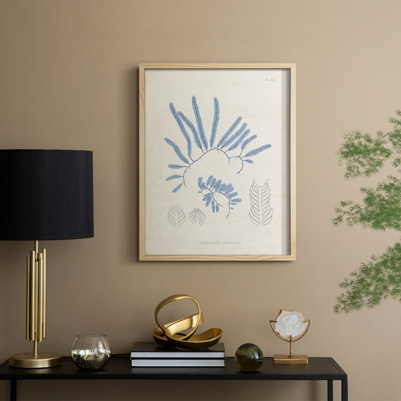 «Blue Marine Algae II», reproduction encadrée - bois massif, H 21 po x l 17 po