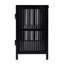Azalia 35.5 in. W Iron and Glass Accent Storage Chest with 1 Interior Shelf