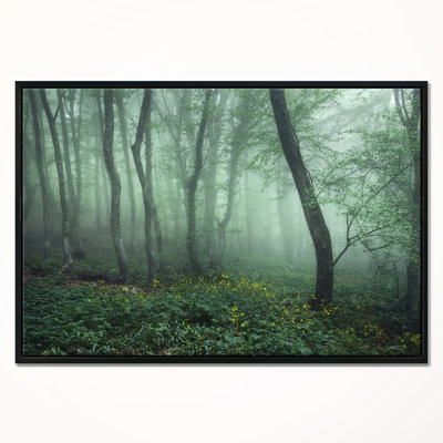" Trail Through Dark Foggy Forest "