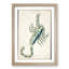 Astronomical Zodiac Chart Of The Scorpio - Single Picture Frame Painting-57844094-57844093