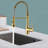 GAWEZA Pull Down Kitchen Faucet