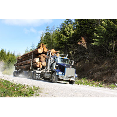 Camion rempli de bûches par Emilynorton