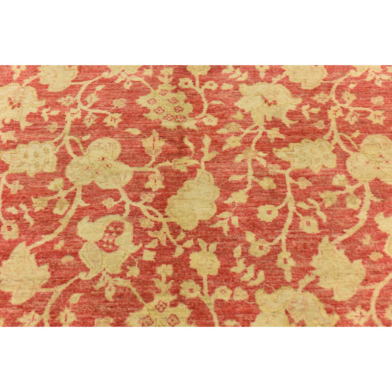 Tapis rouge Delao