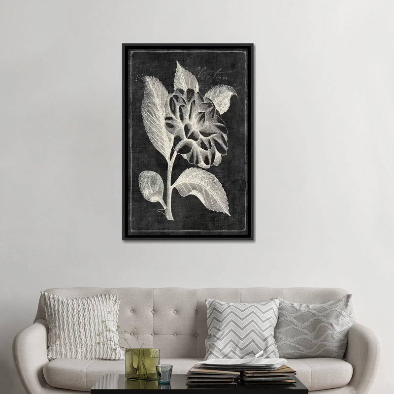 «Black Botanical II», impression sur toile, H 26 po x l 18 po x P 1,5 po, Toile avec cadre noir, Pas de tapis