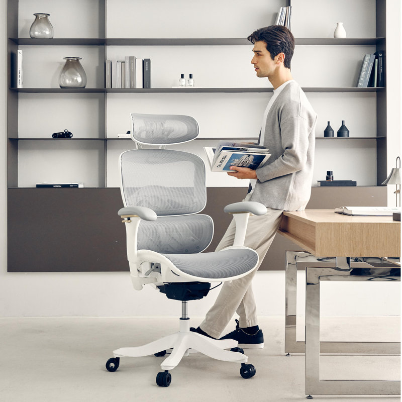 Chaise de bureau ergonomique Nouhaus Kyrix, chaise de bureau grande et haute avec support lombaire et profondeur de siège réglable, chaise d'ordinateur à haut dossier, chaises en filet pivotantes avec roulettes pour bureau personnel, gris