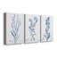 Antique Botanical in Blue I - Ensemble de 3 peintures sur toile tendue-1267387253