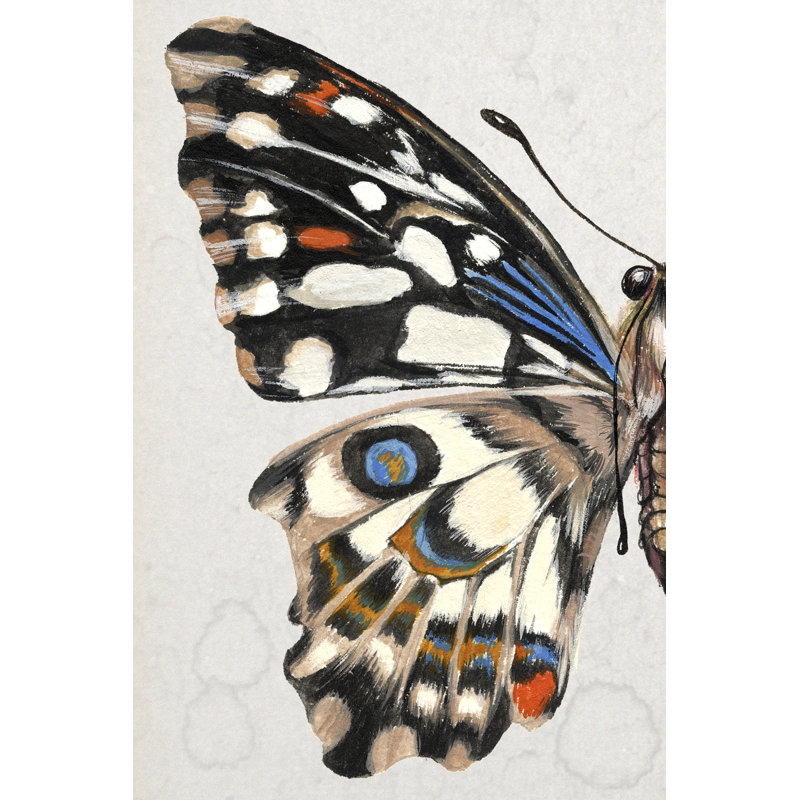 Stained Glass Butterfly Wing Study I by Melissa Wang - Wrapped Canvas Print, 30 cm H x 20 cm W