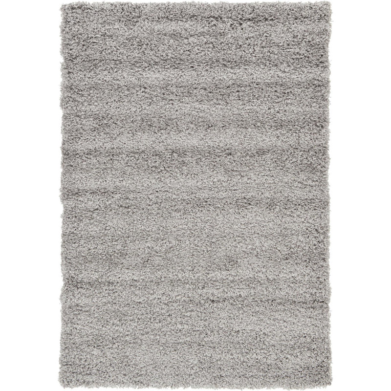 Dejuan Shaggy Area Rug, Rectangle 122 x 183cm