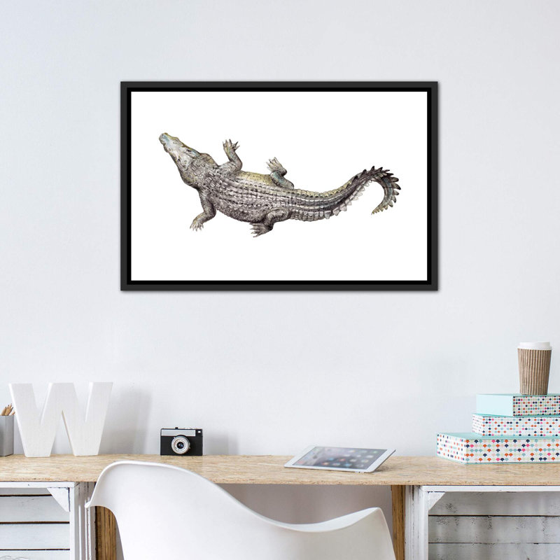 Croc par Wandering Laur - impression d'art graphique, Toile avec cadre noir patiné, Pas de tapis