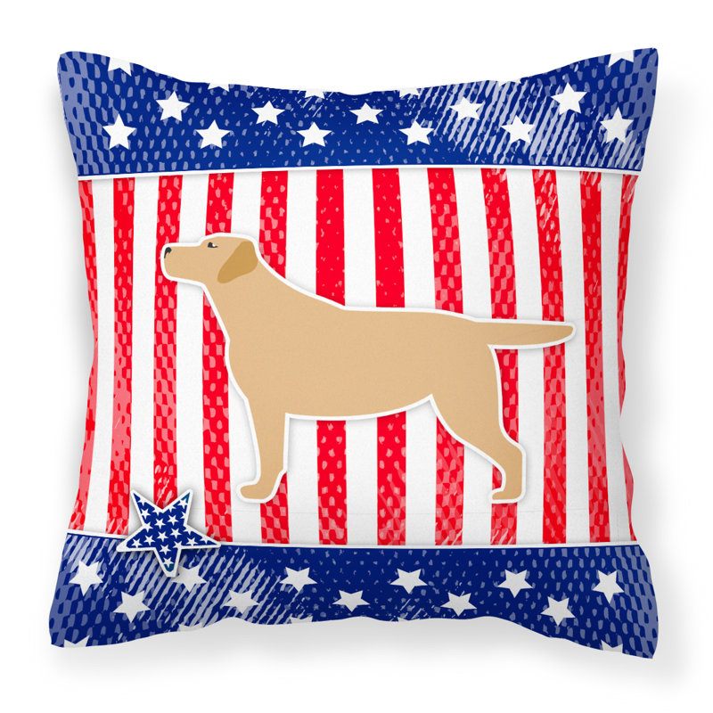 Coussin intérieur/extérieur Patriotic, H 18 po x l 18 po x P 3 po