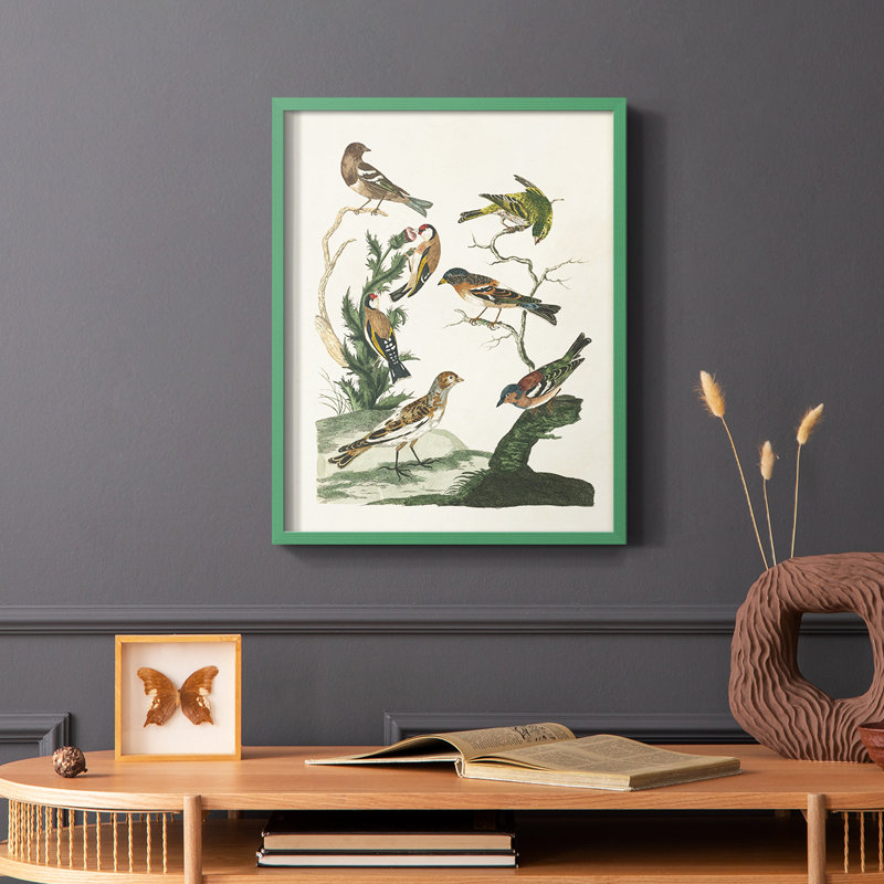 «Antique Birds in Nature I», reproduction encadrée - bois massif, Vert, H 10 po x l 8 po