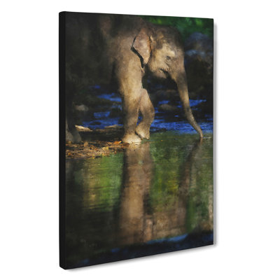 Elephant Vol.4 - Wrapped Canvas Print