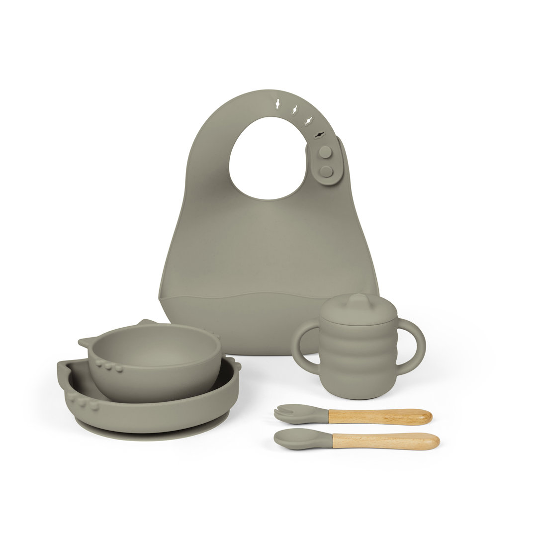 6 Piece Silicone Feeding Set