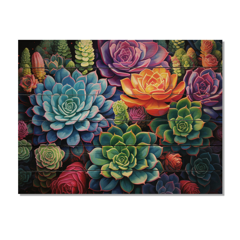 «Karolyna Colorful Succulents Succulent Whimsy I» sur impression sur bois, H 10 po x l 20 po x P 0,78 po