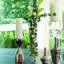 Bauhinia Bud Vase-22329303