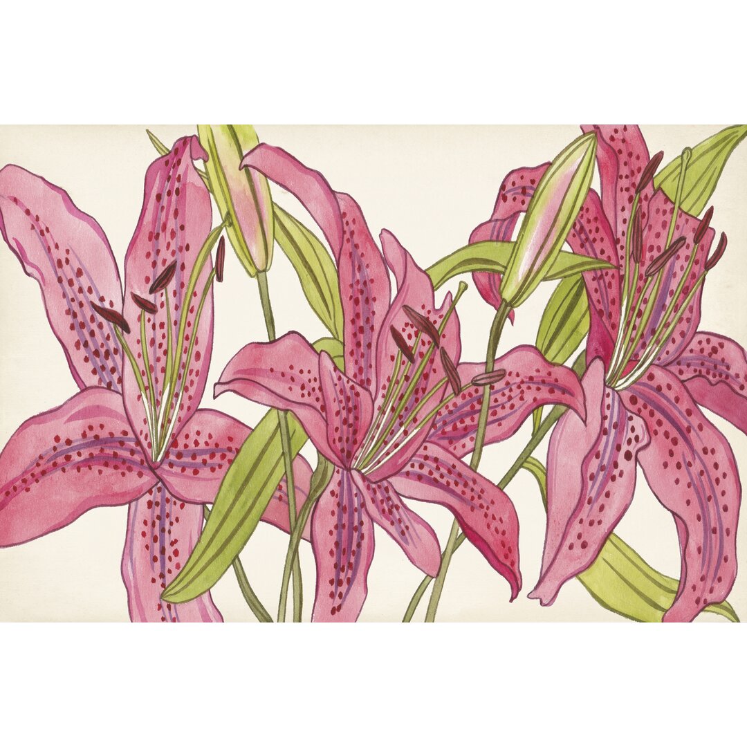 Leinwandbild Pink Lilies II von Melissa Wang