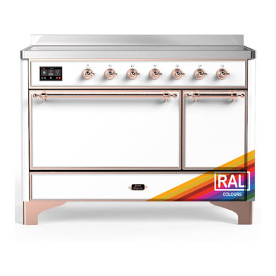 Cuisinière à induction de 48 pouces avec 6 éléments d'induction RAL (garniture en cuivre) Majestic III Series